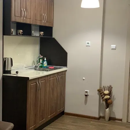 Apartment Silver Weliko Tarnowo
