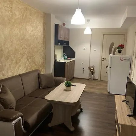 Apartment Silver Weliko Tarnowo