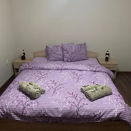 Apartment Silver Weliko Tarnowo